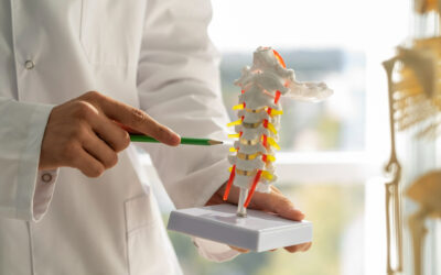 The Philosophy Behind Chiropractic Services 